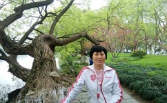 宠物小精灵世界之旅攻略